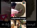 ఈ మేస్ర్తీ పనితనానికి సెల్యూట్ చేయాల్సిందే #Creativity #MasonWork #Handicraft #WallDesign