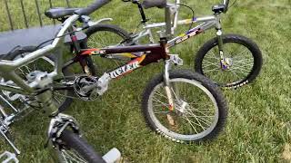 IMG 1710