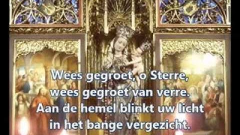 Wees Gegroet O Sterre - Orgel Samenzang