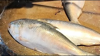 🔴 Live Ilish Fish Cutting ASMR | Fresh Seafood Processing from Market