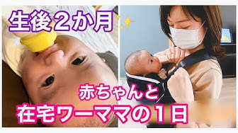 生後2ヶ月 Youtube 生後2ヶ月 Youtube