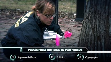 Sherlock Holmes Forensic Attract Video 2