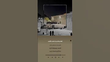 تلاوة جميلة من رحاب المسجد الأقصى القارئ محمد مصطفى محاميد Shorts 