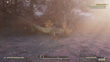 All Ash Heap Random Encounter Hotspots