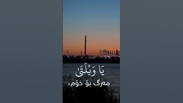 #محمد_اللحيدان #تلاوة_خاشعة فی #القرآن_الكريم