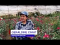 #PIANews | Iba't ibang bulaklak, tampok sa Bahong Sunflower Farm sa La Trinidad, Benguet
