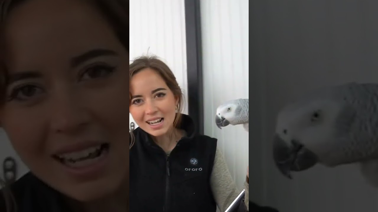 Сирена Зачинщица 🗣️🦜 