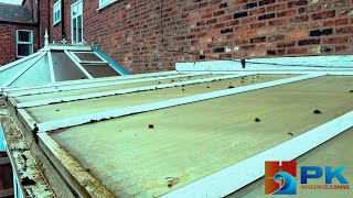 Nightmare Conservatory Roof Clean