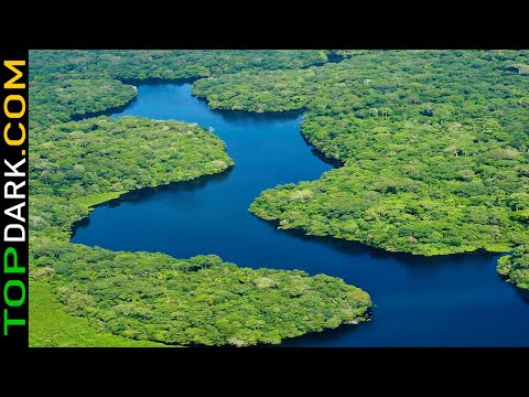 23 Facts and Curiosities About the Amazon Rainforest