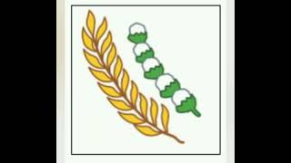 Hak dan kewajiban yang sesuai dengan sila ke -5 Pancasila di rumah (Indiraprasti.C.R) Hak dan kewajiban yang sesuai dengan sila ke -5 Pancasila di rumah (Indiraprasti.C.R)