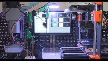 Biolity Robotics Prototype Mark II