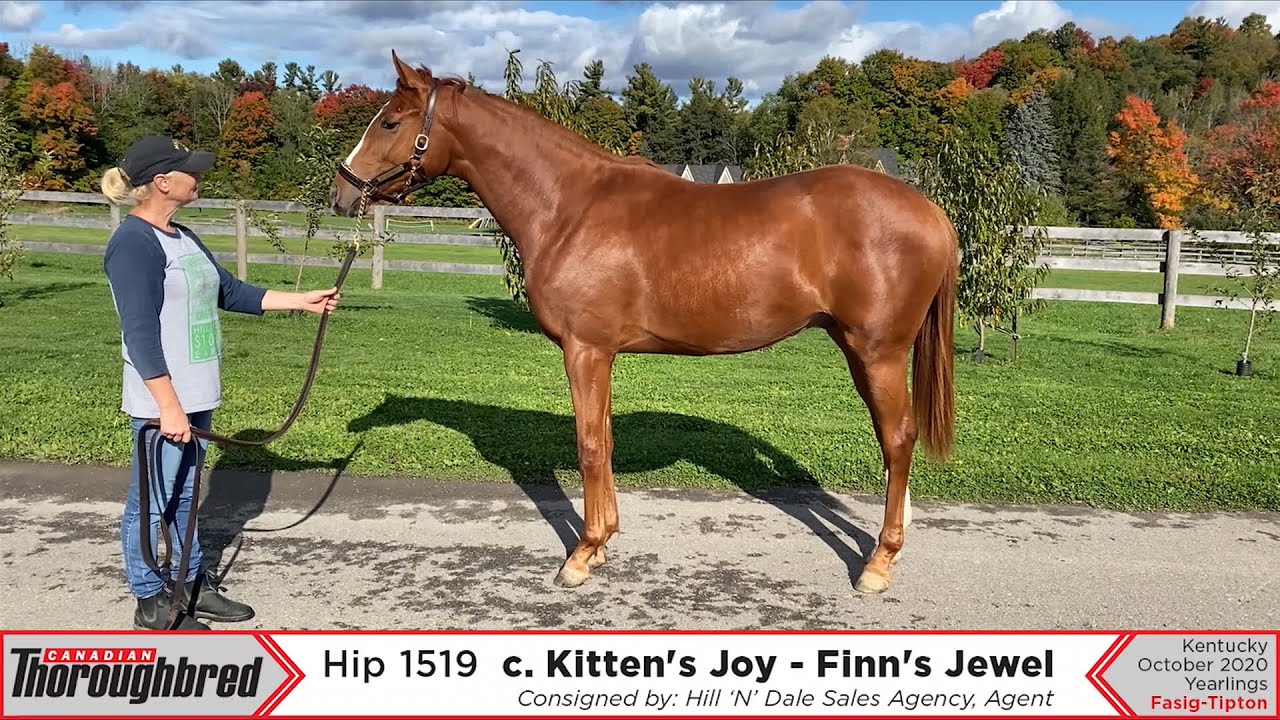 Fasig Tiptop Oct 2020 - Hip 1519 - c. Kitten's Joy / Finn's Jewel