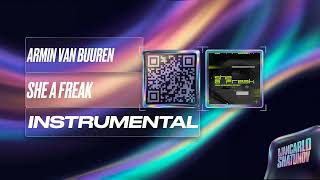 Armin van Buuren ft. Skytech - She A Freak (Instrumental)