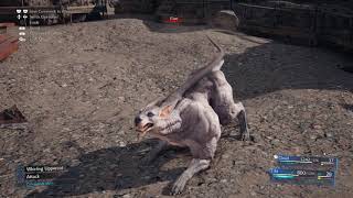 Final Fantasy 7 Remake: Quest Fight - Wrath Hound