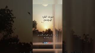 Surat Baqra ayat 14_16 #fuq #saadhussainrizvi #youtubeshorts #religion