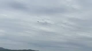 IMG 8136