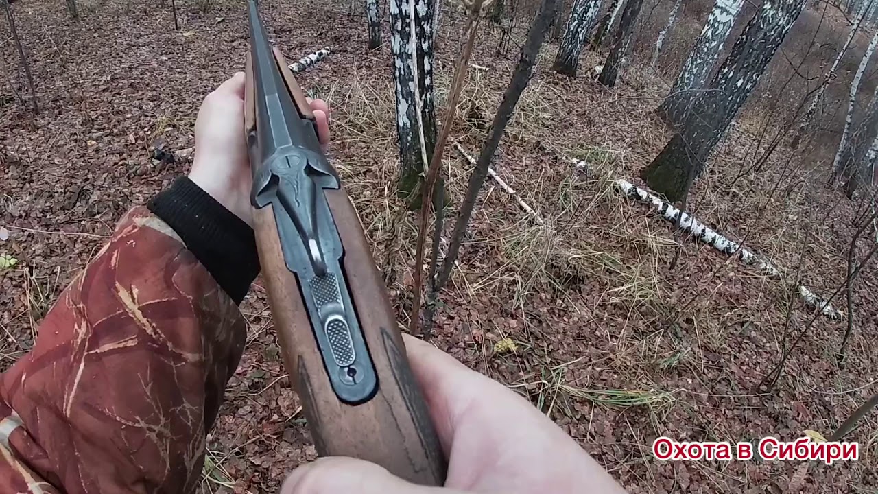 Охота с эстонской гончей! Охота на зайца