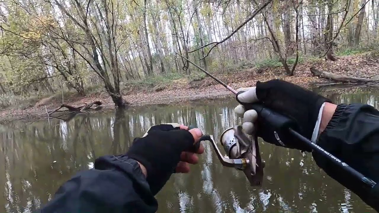 harcsa-csuka-sügér-eső... xul horgászat Kirillel 10.26