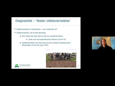 Video: SELFBEOORDELING DIAGNOSTIEK