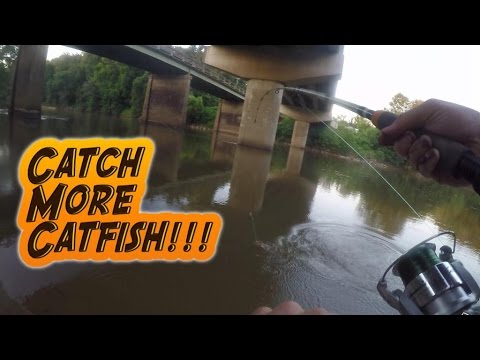 Catching Catfish on BRIDGE PILINGS in LOW CURRENT (Ft. Reel Beasts) 