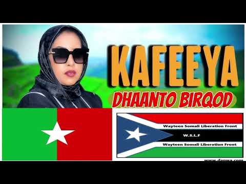 Kafeyo Dhaanto Cusub Birqod Waxaan Kahelay Gesi Beel Daajiya Ah
