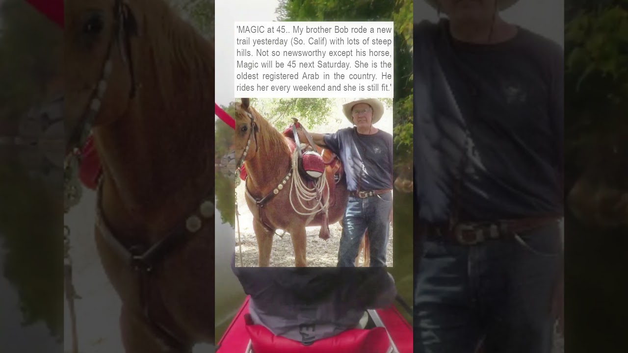 Legendary Horse Defies Age Riding Strong At 45