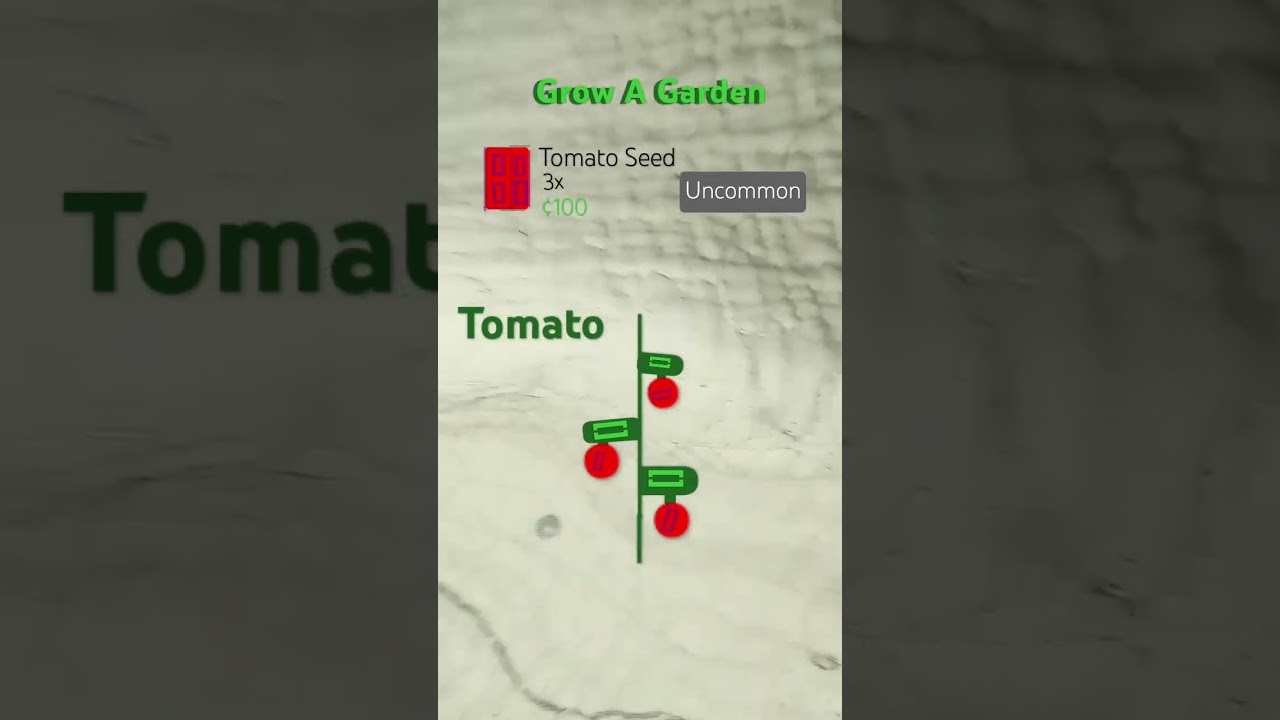 Tomato seed |grow a garden |