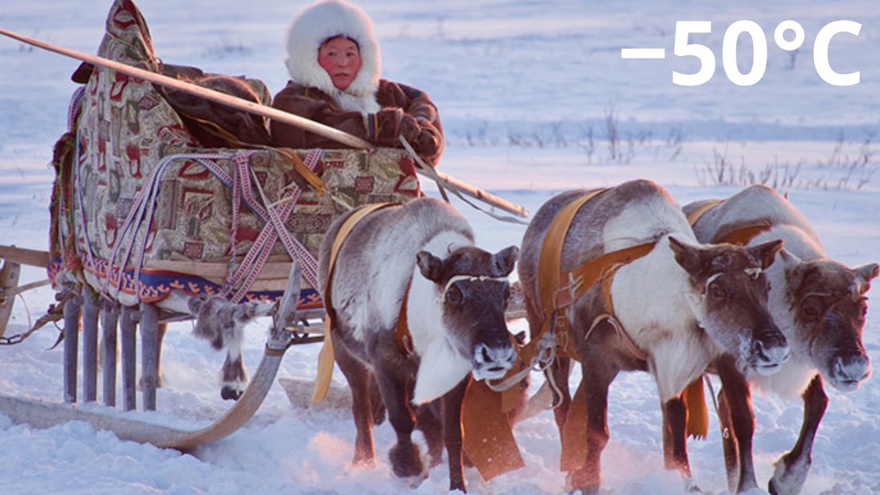 Выживание при −50°C: Современные потомки арктических племен, поедающих сырое мясо