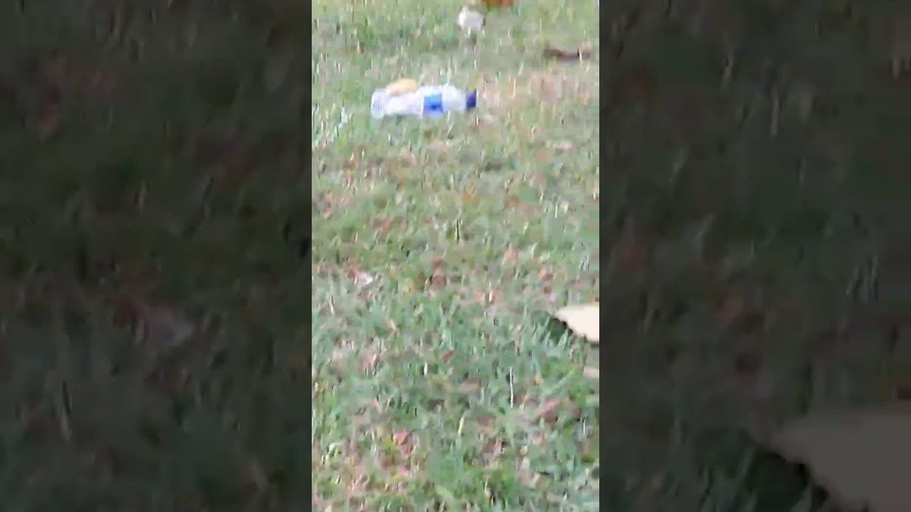 Ngintip orang pacaran - YouTube