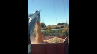 Unloading L2 Gleaner
