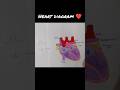 Heart diagram trick🫀❤️ #india #trending #drawing #art #diagram #biology #students #study #learning