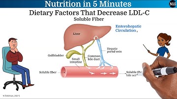 Nutrition in 5 Minutes: LDL Cholesterol as a Biomarker