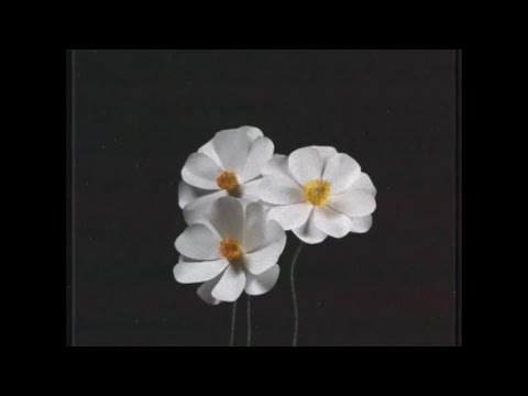 【SynthVカバー】ピコン - 再生 【Saki】