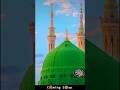 pukaro ya Rasool Allah #short #short video #Islamic shorts #superhit beautiful