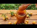 How To Make Sour Plum Paste | Plum Sauce for Grilled meat  | Alçadan Palçıq Turşu | Alça Turşusu