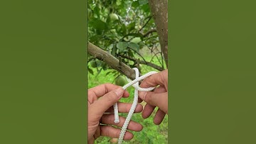 How to tie a tree branch firmly #knotskill #shortvideo #diy #tips