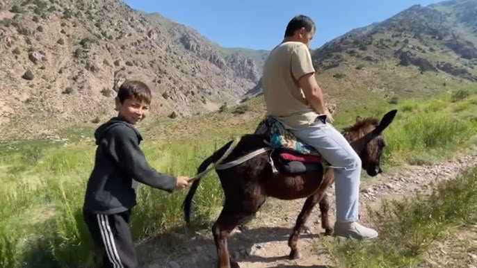 Men eshakda tomosha qilish uchun ozimni berdim