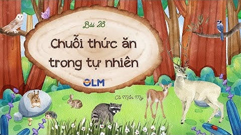 Bài 28. Chuỗi thức ăn trong tự nhiên (phần 1) - Khoa học 4 - KNTTVCS - OLM.VN