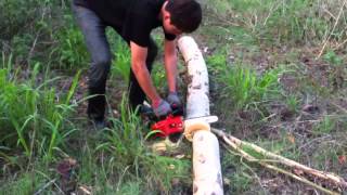 Maruyama chainsaw MCV3100T