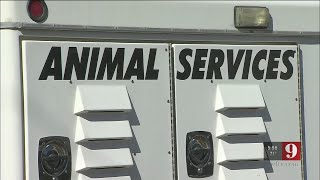 Video: Lake County Animal Enforcement involved in costly lawsuit