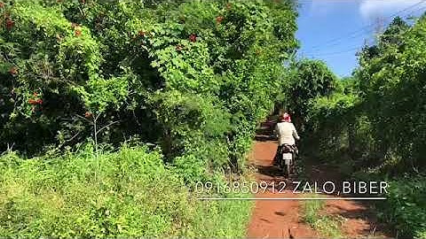 Bán 2 Sào Đất Láng Lớn Châu Đức Vũng Tàu Cách Đường Láng Lớn Xà Bang 60m(đã bán)