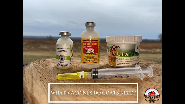 What Vaccinations do your GOATS need? Learn how to...