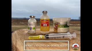 What Vaccinations do your GOATS need? Learn how to Dose & Administer CD&T~ Copper Bolus Pill~ Wormer