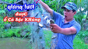 ĐI GIĂNG LƯỚI HỐT TRỌN Ổ CÁ SẶC VÀ CÁI KẾT SIÊU MÊ