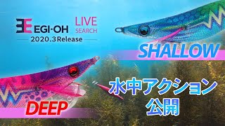 新商品 PV解禁！「エギ王LIVEサーチ」 シャロー・ディープモデルが新登場！