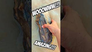 Amazing!!! This Giant Fossil Stone Has Extraordinary Natural Detail and Formation. #nature #stone