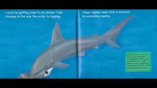Gulf State Park - 'I Am a Shark' (Book Reading) by OutdoorAlabama 602 views 3 years ago 4 minutes, 45 seconds