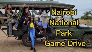 I Touched a Lion//Nairobi National Park Game Drive screenshot 4