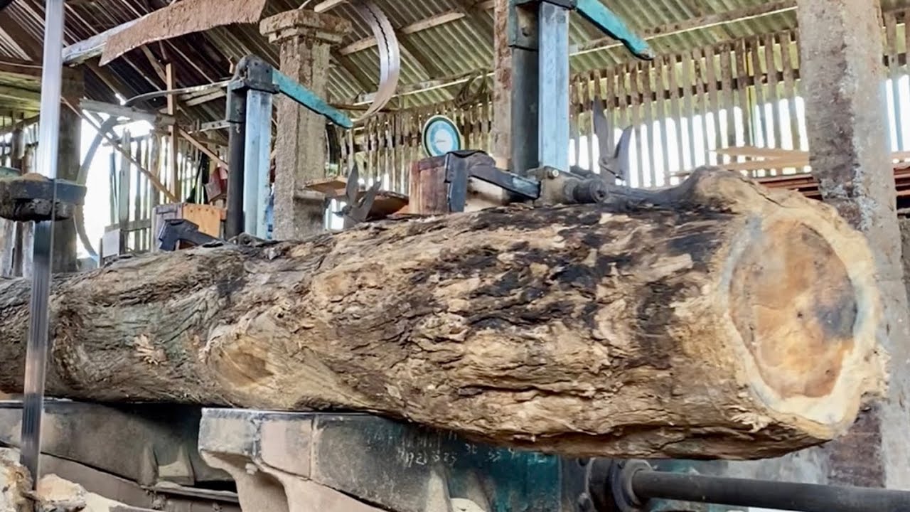 The process of sawing fragile teak wood and lots of ants - YouTube