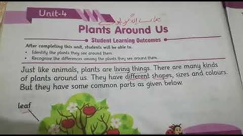 Science, Unit4:plants around us||Afaq Iqbal Series||Book Reading||Grade 1